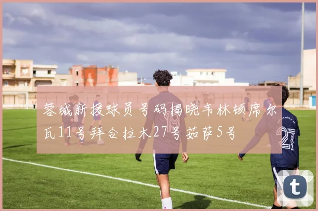 蓉城新援球员号码揭晓韦林顿席尔瓦11号拜合拉木27号茹萨5号
