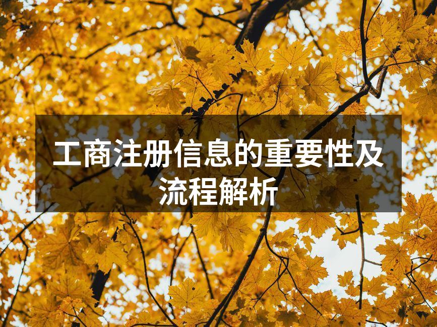 工商注册信息的重要性及流程解析