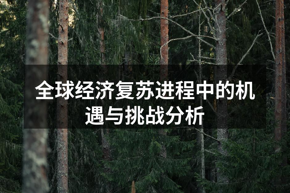 全球经济复苏进程中的机遇与挑战分析